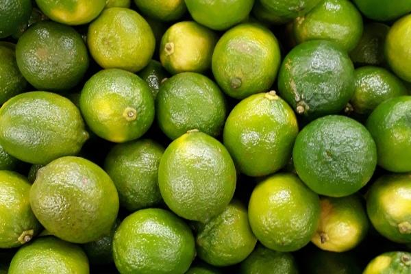 外冷内热的三大生肖男,当之无愧的闷骚之王!