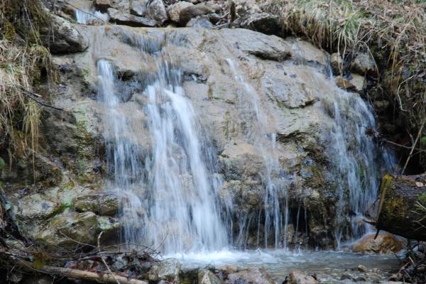 属虎和属蛇的人相克吗 性格相克财运相克