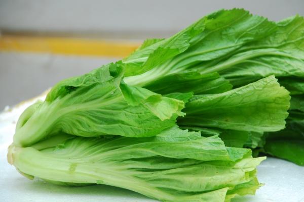 四大生肖,不喜欢欠人情,贵人犹如满天星,赚钱和发展都不难!