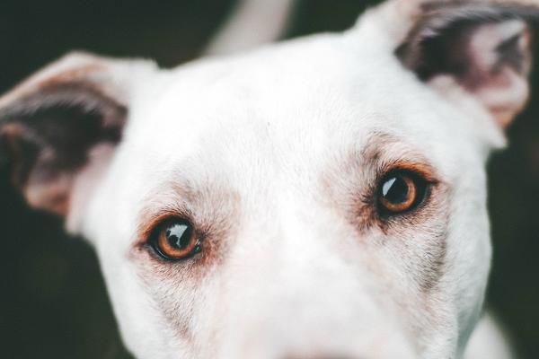 过去穷得发愁,6月亨通顺利的四大生肖,生活没有坏消息!