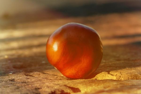 2023年5月2日冲什么生肖 每日生肖相冲查询