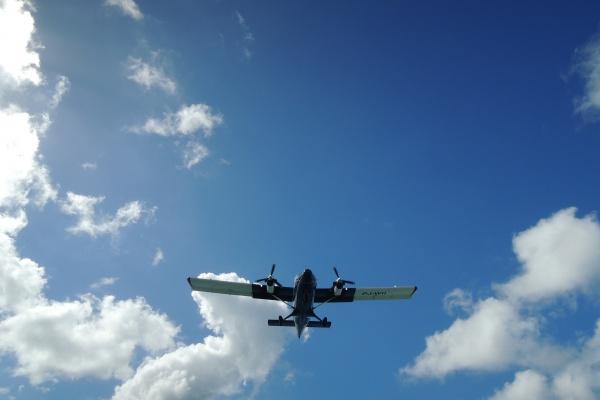 2023年5月5日生肖相冲查询 十二时辰冲属相