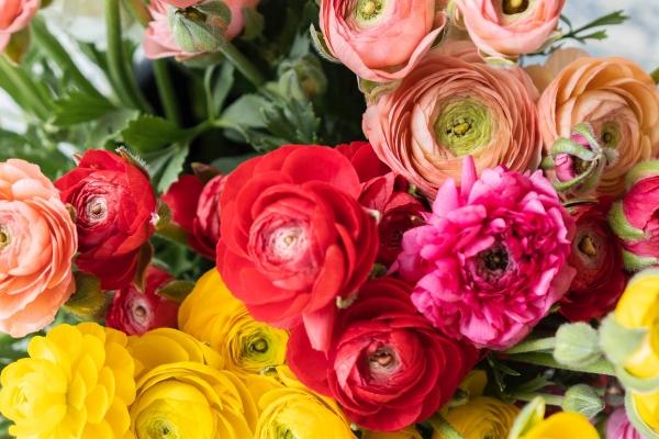 86年属虎女在2023年的运势和财运，86年虎今年运势顺不顺