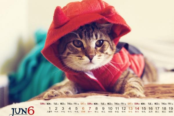 虎和兔子属相合吗 虎兔合婚好吗