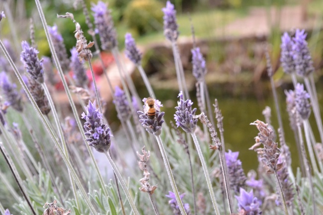老公属猴老婆属鸡配不配 婚姻匹配度分析