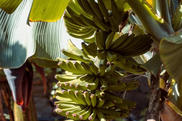 属羊和属蛇的夫妻结局 在一起对谁会不好