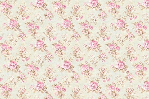 属虎和属龙的人合得来吗 配对优点和缺点