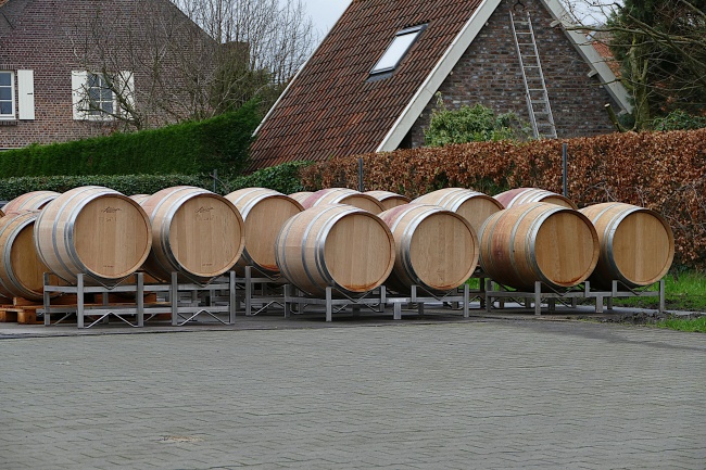 属龙人今年下半年有大灾难，属龙人下半年要注意什么