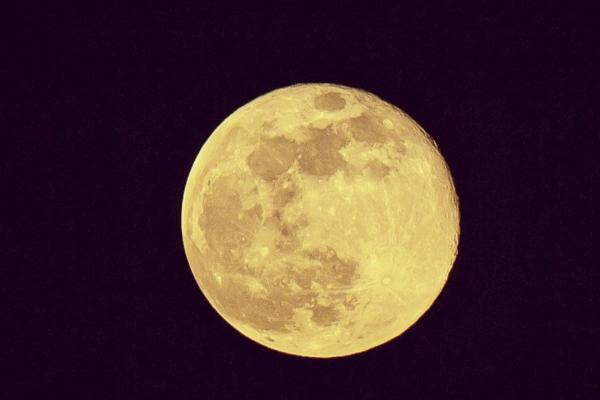 2024年有可能感情出轨生肖 烂桃花太多