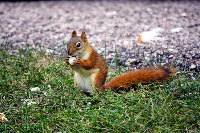 2004年属猴能考上大学吗 高考需要注意什么