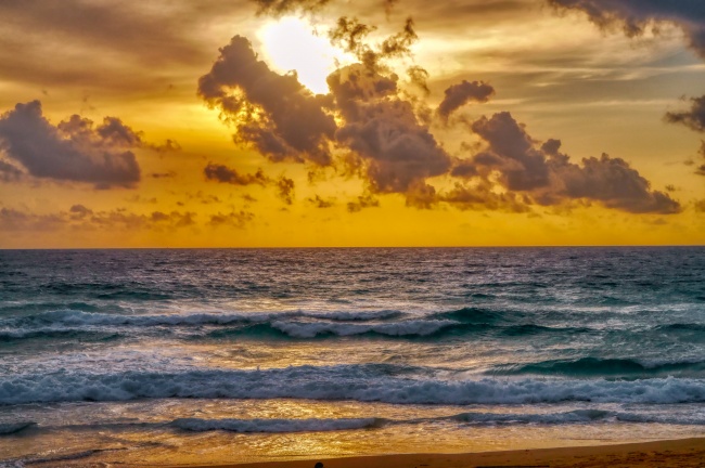 1988年属龙木命最佳方位，最适合88年属龙的发展方向