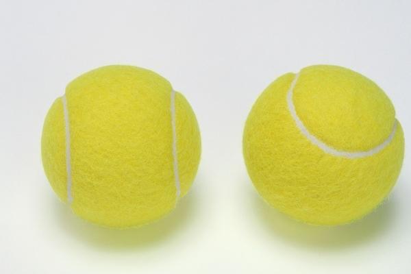 属虎和属蛇谁克谁 互相吸引和互相克制