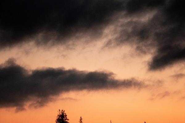 87兔最适合车牌的字母 属兔适合开什么车