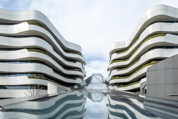 2024年一夜暴富的生肖 财富最旺进账最多的属相