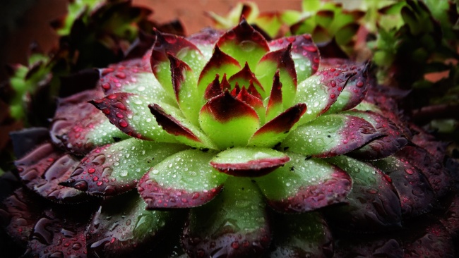 本命年过一半了还能戴红绳吗2023，本命年戴红绳有什么讲究