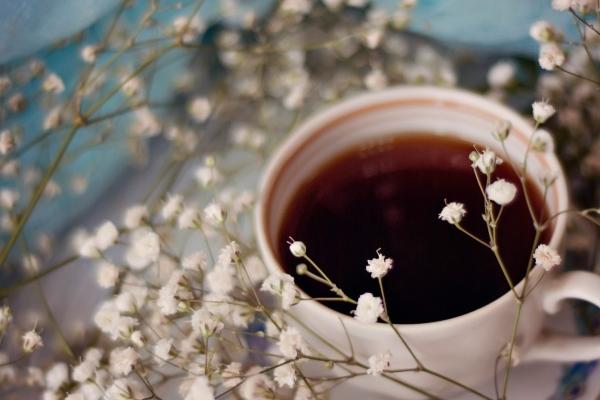 2023年属兔宝宝起名大全及寓意 最佳名字推荐