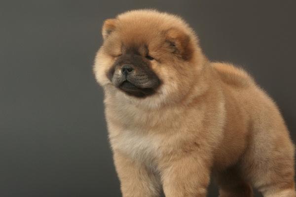 1988年属龙做生意门面朝向，88年龙开店大门朝哪里好