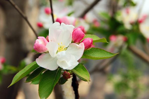 2023属蛇的财运在哪个方向，属蛇人如何提升财运