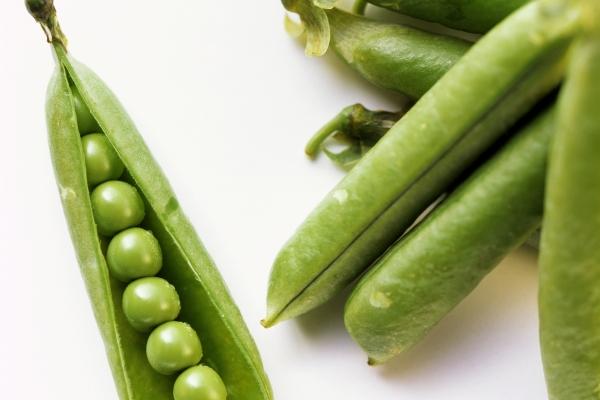 属虎双鱼座2023年运势详解 虎属相的双鱼座好不好