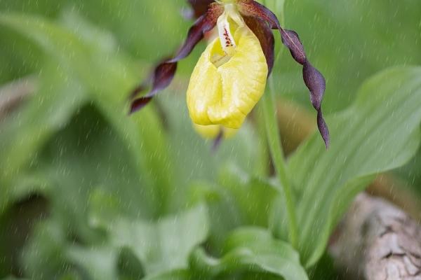 94男狗和00女龙相配吗 在一起谁吃亏