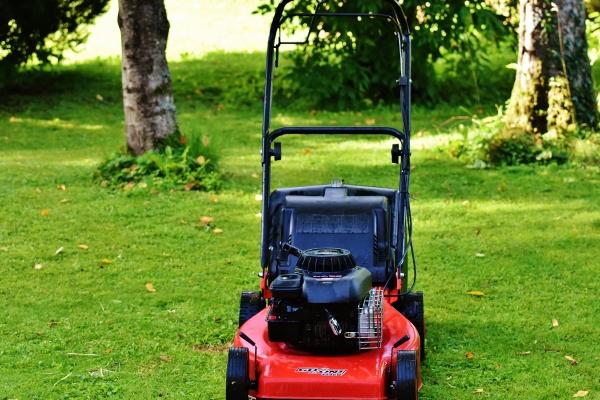 2023年属鼠下半年还要穿红衣吗,有什么说法