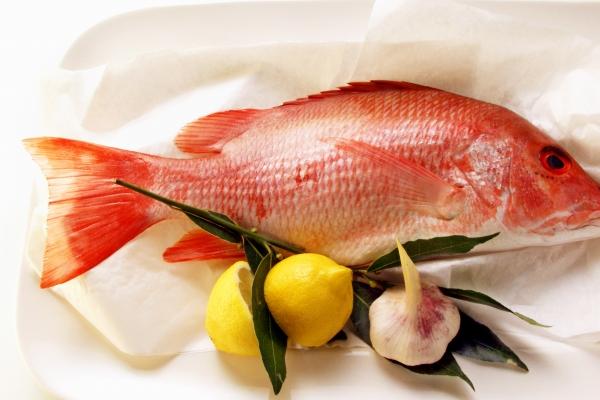 属兔的适合取什么名字 温婉儒雅的名字大全