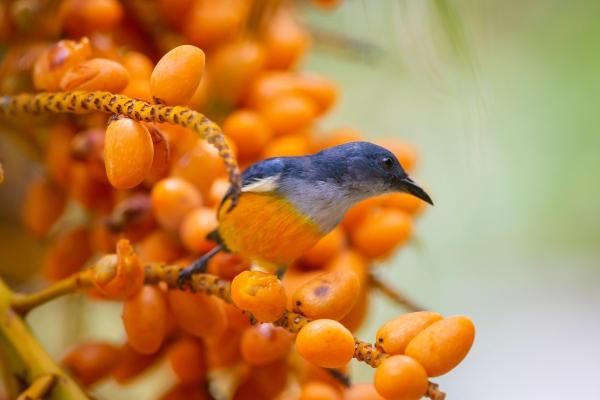 2024年生龙备孕表农历 几月出生命好