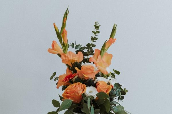 2024福气当头 能够添丁添财的几大生肖