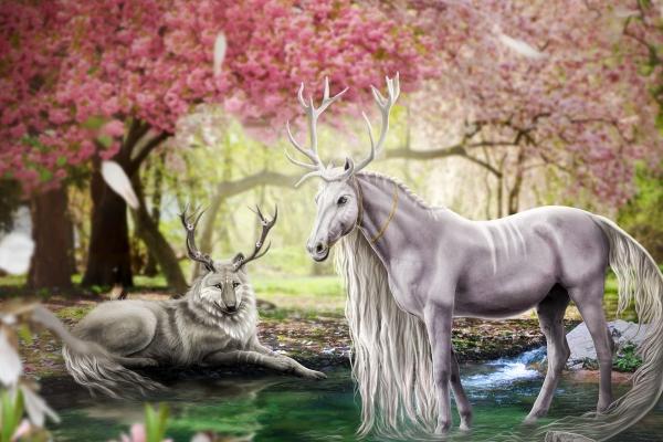 属虎2023年下半年运势及运程 属虎人下半年各方面分析