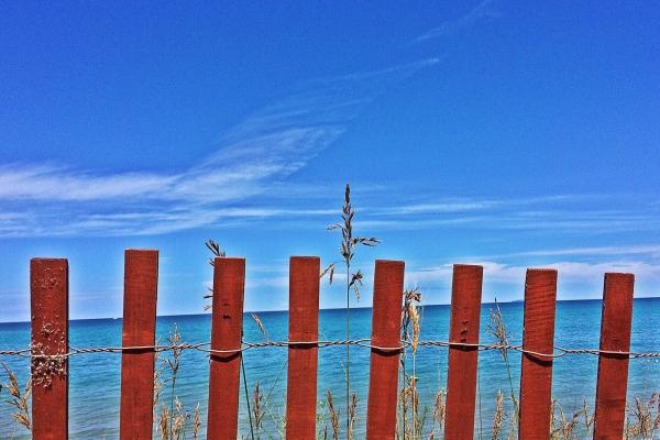 2024年出生是什么命 属什么生肖