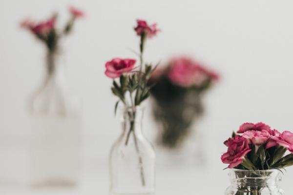 72鼠女和88年属龙男合财吗 相互支持和鼓励