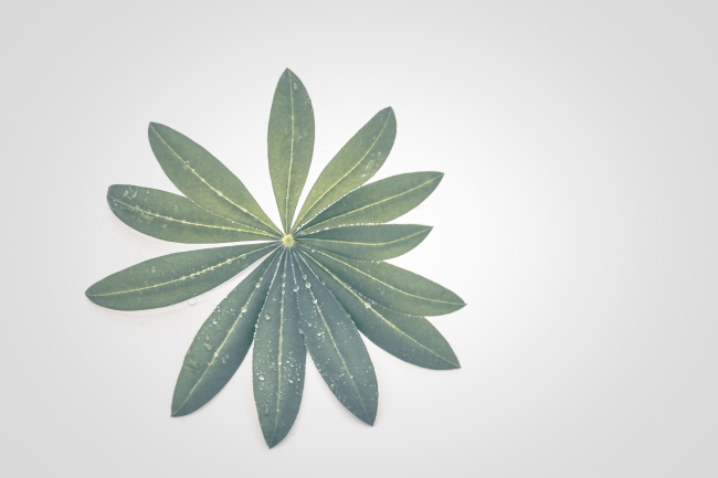 男女婚配最佳生肖 看看你和ta合不合适？