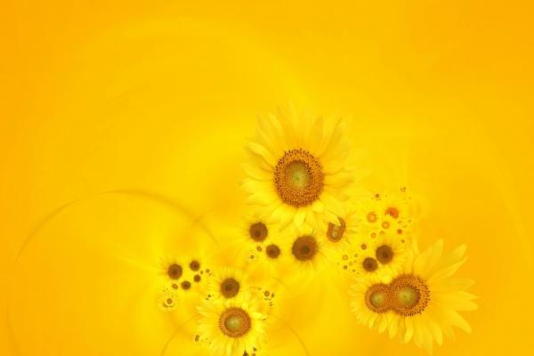 2024年财运最旺的生肖女 有望成为一夜暴富的幸运儿