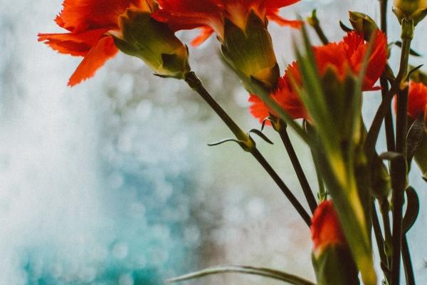 2023下半年属鼠运势 属鼠人2023年下半年的运气如何