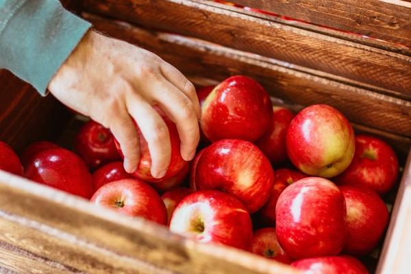 2023年6月7日生肖相冲查询 时辰相冲对照表