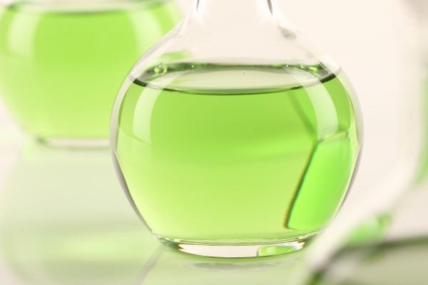 2023下半年属鼠运势如何 属虎人今年下半年的运势分析