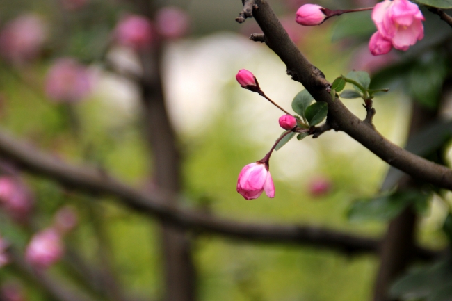 2023年下半年属什么兔 属兔人2023年下半年运程详解