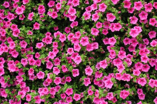 2000年属龙有几次婚姻 属龙人一生婚姻运势