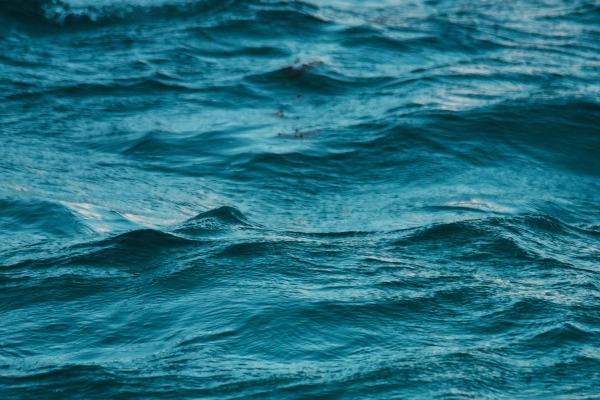 2000属龙女在2023年运势 属龙女2023年命运怎么样