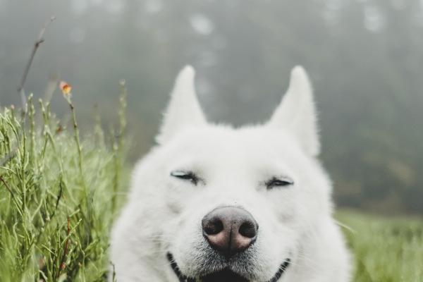 属兔2023下半年运势如何 财运上较为平稳