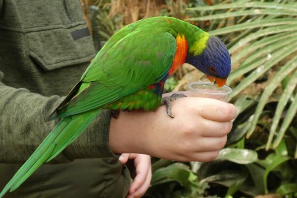 属兔本命年能不能出远门，2023年属兔能旅游吗