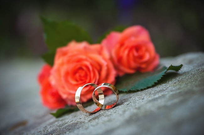 属龙人2023下半年的幸运色 助你事事顺遂