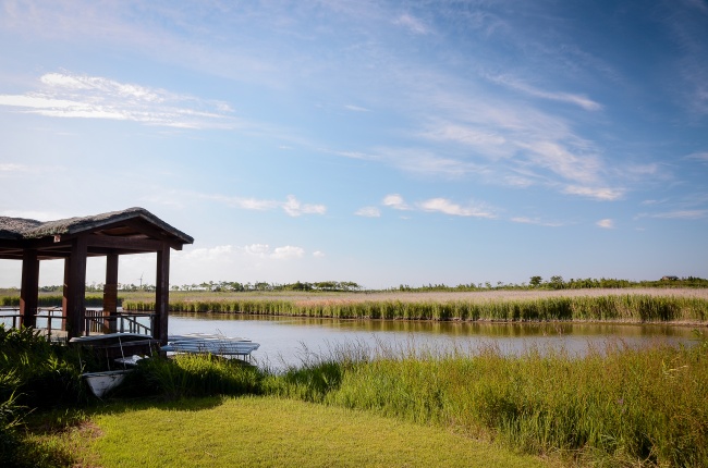 疼爱老婆的生肖男 一生只爱老婆一人