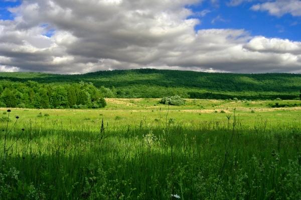 出了名疼老婆的属相男 把老婆当宝的