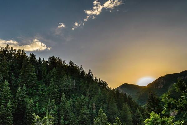 属羊2023年下半年运气 生肖羊事业运势