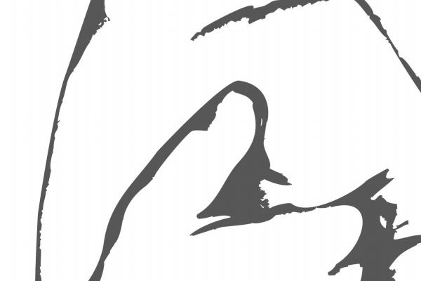 2023年属牛下半年要出大事 要倒大霉吗