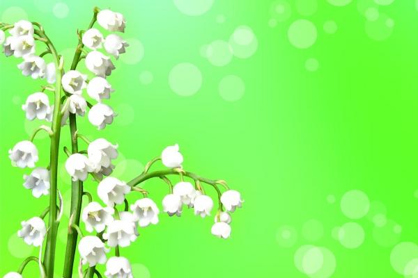 2023年属龙下半年要出大事 要倒大霉吗