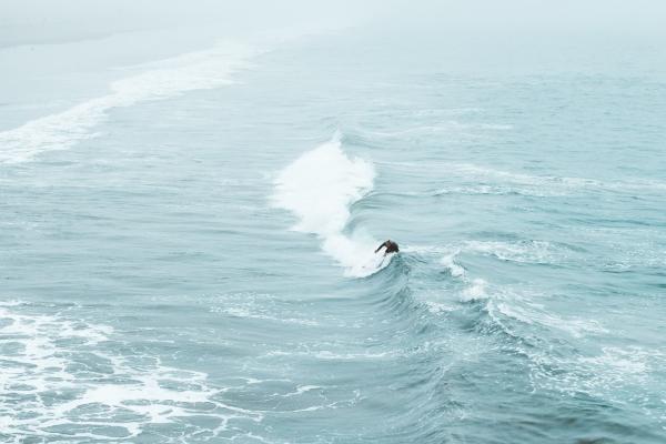 2024年财运最好的3大生肖 2024年财运最好的人