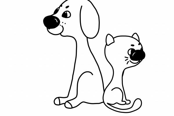 一生最有福的4生肖女 属相女最佳婚配