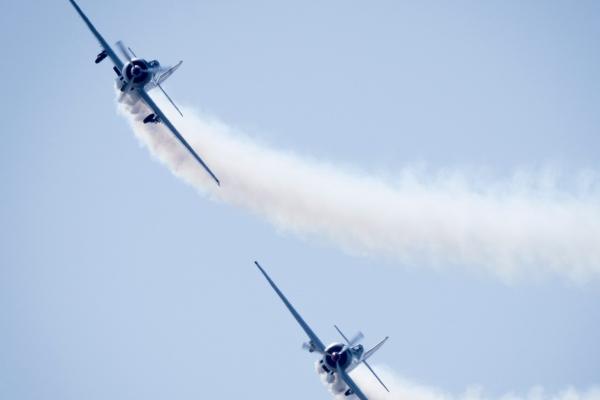 属兔今年下半年财运怎么样 有哪些建议